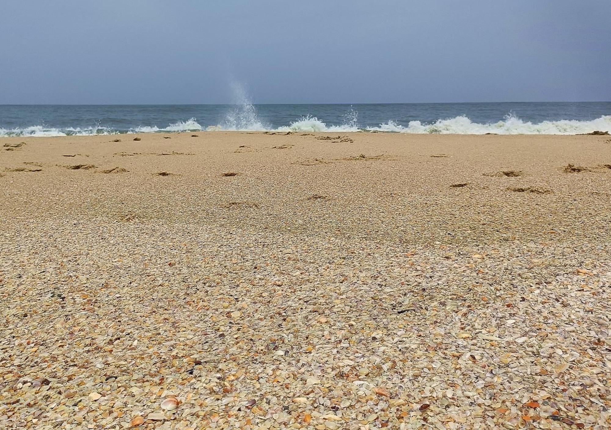 Marari Beach Cleetus Homestay Марарикулам Экстерьер фото